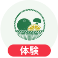 体験