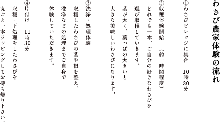 体験の流れ　①わさび沢へ移動　9時50分　店主と合流し、一緒にわさび沢へ移動します。②収穫体験開始　10時（約一時間程度）　どれでも一本、ご自分の好きなわさびを選び収穫していきます。茎が太く、葉っぱの大きいと大きな美味しいわさびになります。